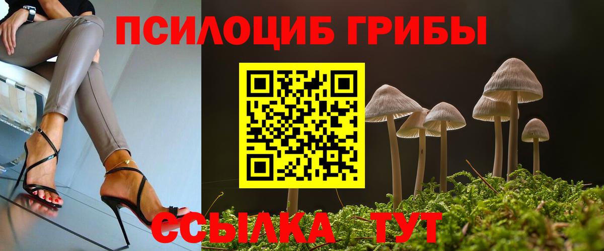 Псилоцибиновые грибы Psilocybine cubensis Нижнеудинск