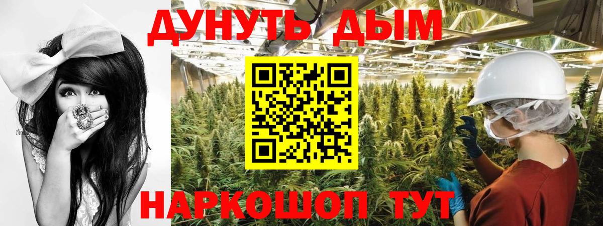 Марихуана конопля  Бошки Шишки Ganja  Марихуана марихуана  Вход с VPN  Нижнеудинск  Канабис планчик 